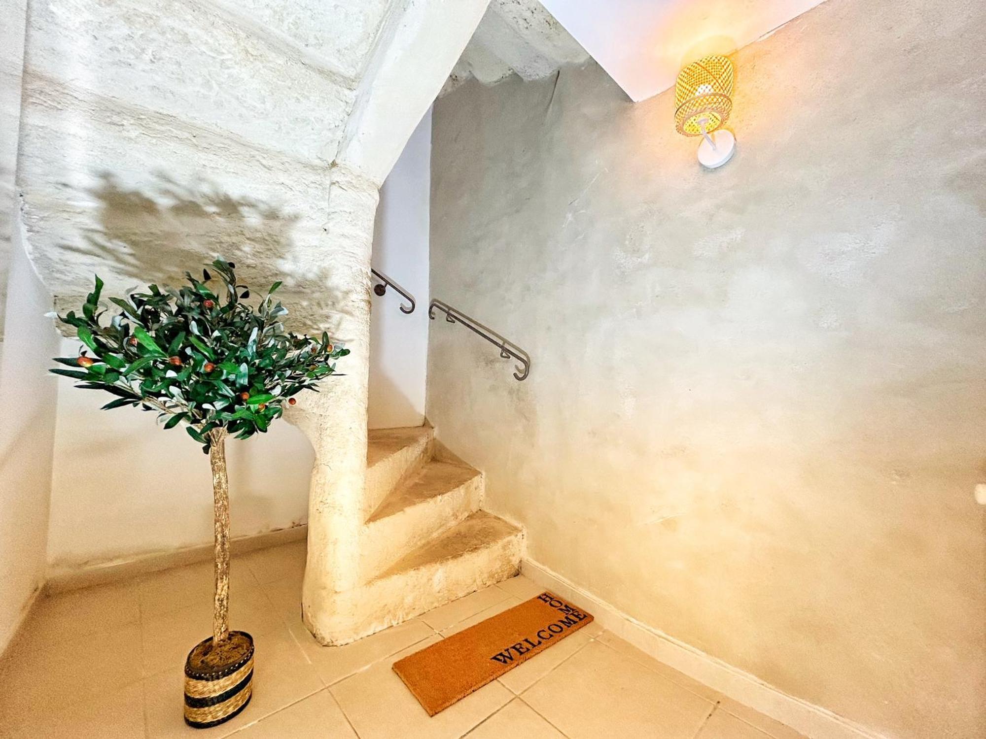 Olive Serenity آرْلْ المظهر الخارجي الصورة